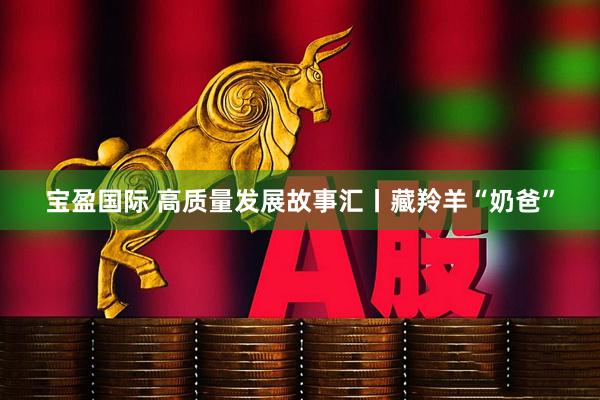 宝盈国际 高质量发展故事汇丨藏羚羊“奶爸”