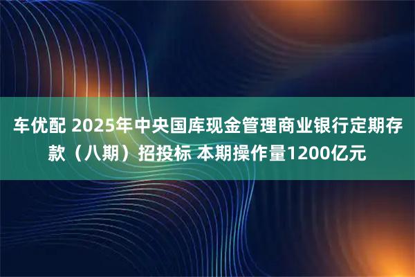车优配 2025年中央国库现金管理商业银行定期存款(八期)招投标 本期操作量1200亿元