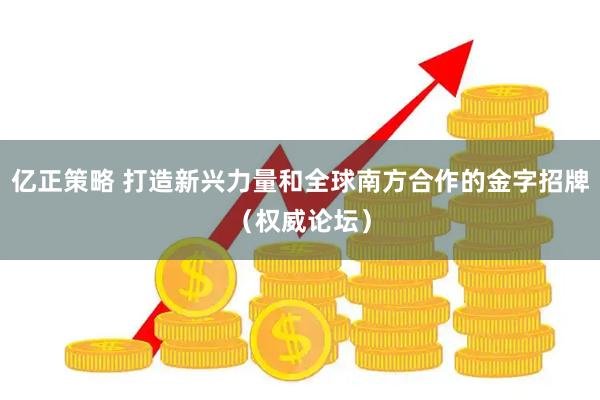 亿正策略 打造新兴力量和全球南方合作的金字招牌（权威论坛）